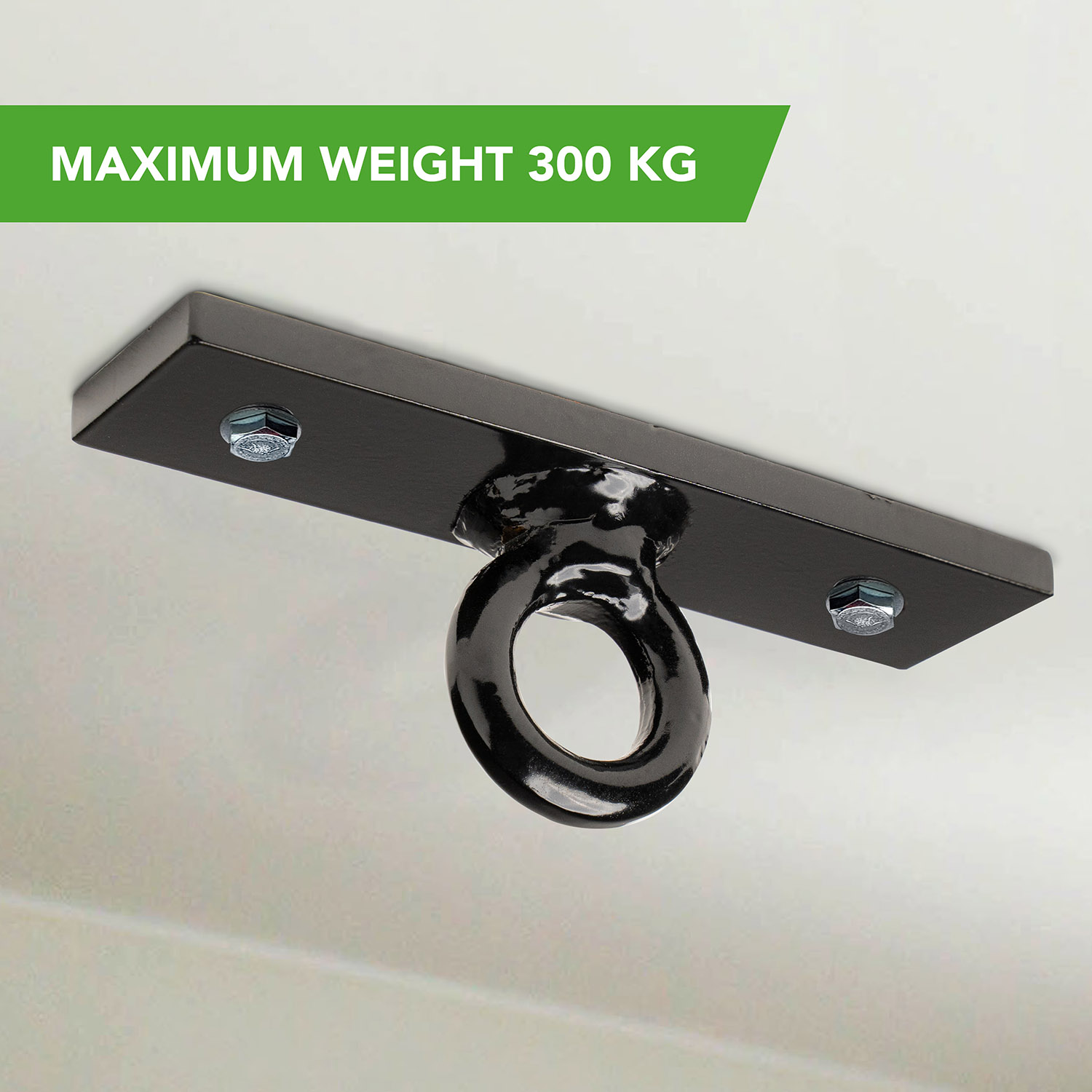 Boxing Bag Ceiling Ring