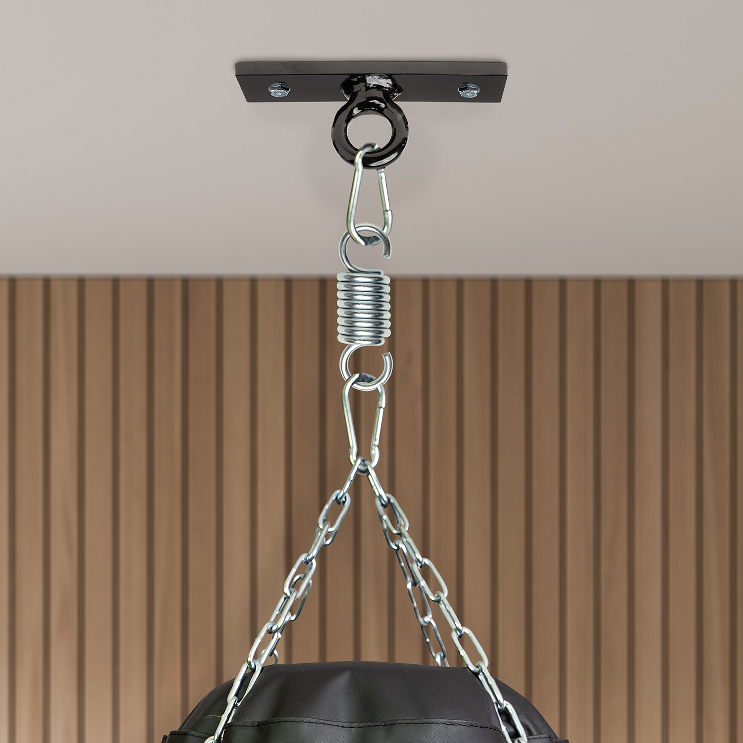 Boxing Bag Ceiling Ring